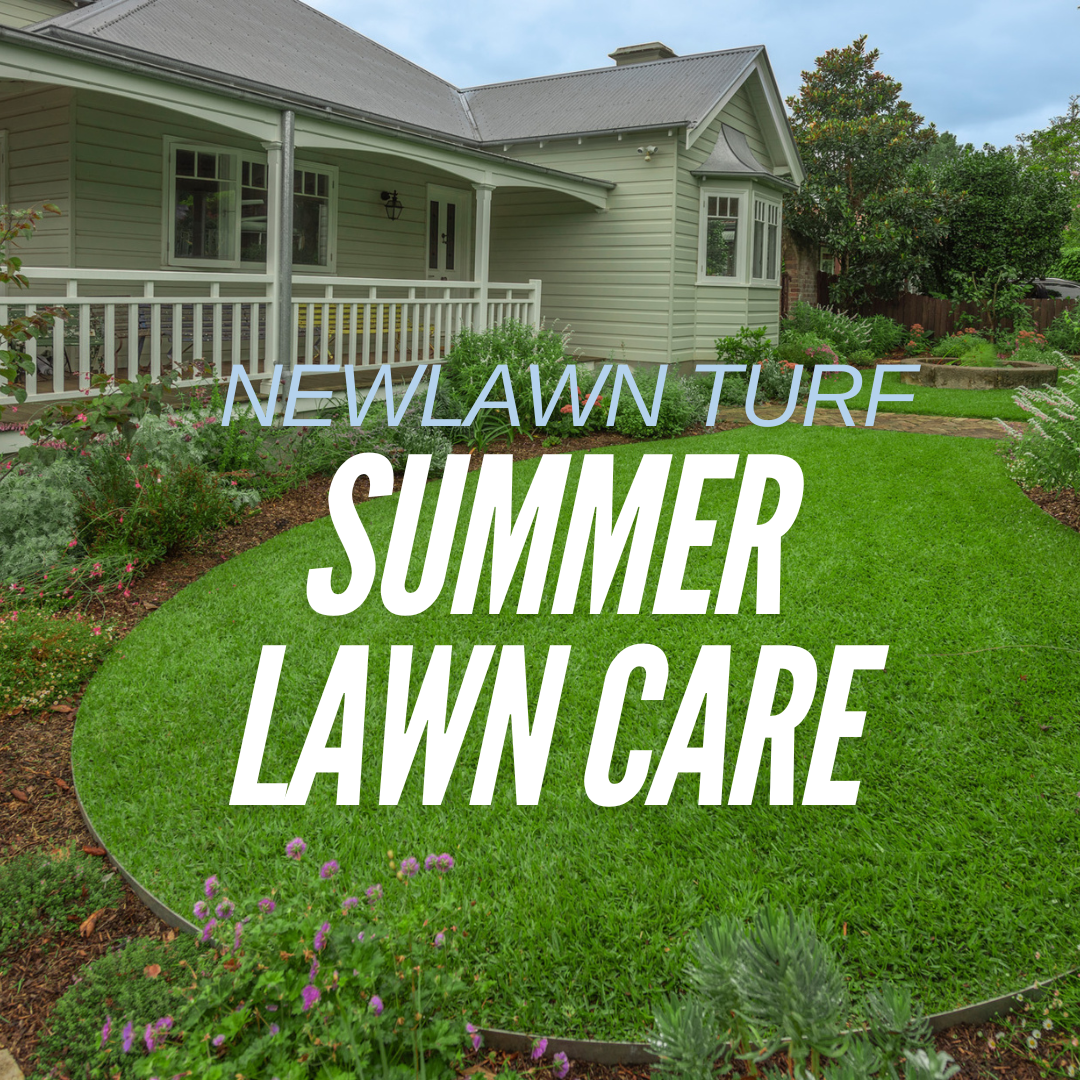 Summer Lawn Care