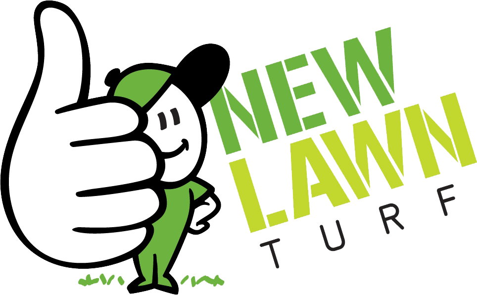 New Lawn Turf