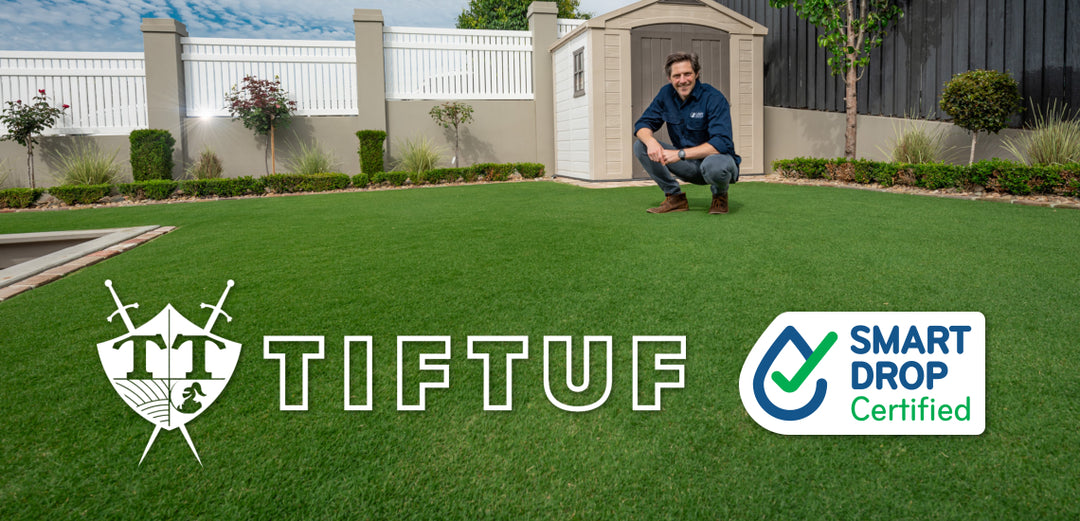 TifTuf Hybrid Bermuda Turf | Drought-Tolerant Couch Grass for Residential & Commercial Projects (per m/2)