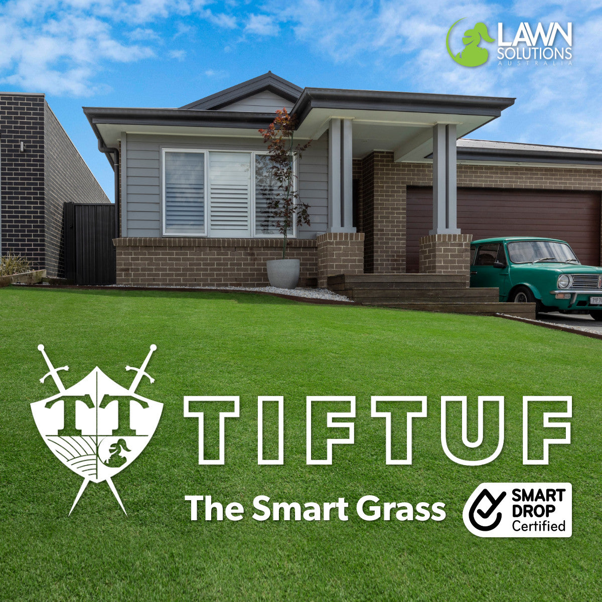 TifTuf Hybrid Bermuda Turf | Drought-Tolerant Couch Grass for Residential & Commercial Projects (per m/2)
