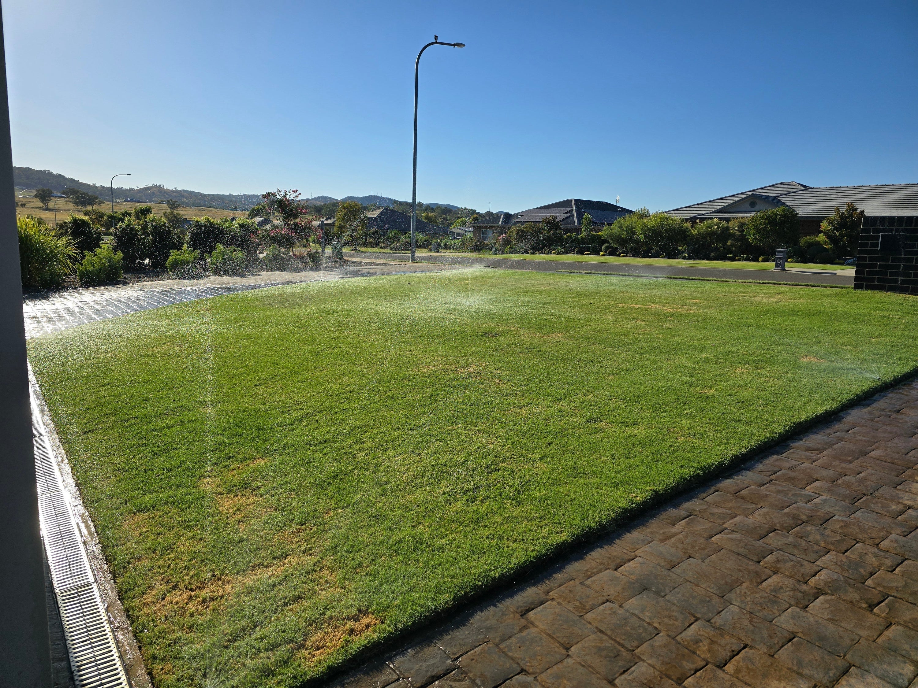 How to Help Your Lawn Survive Hot, Dry Conditions