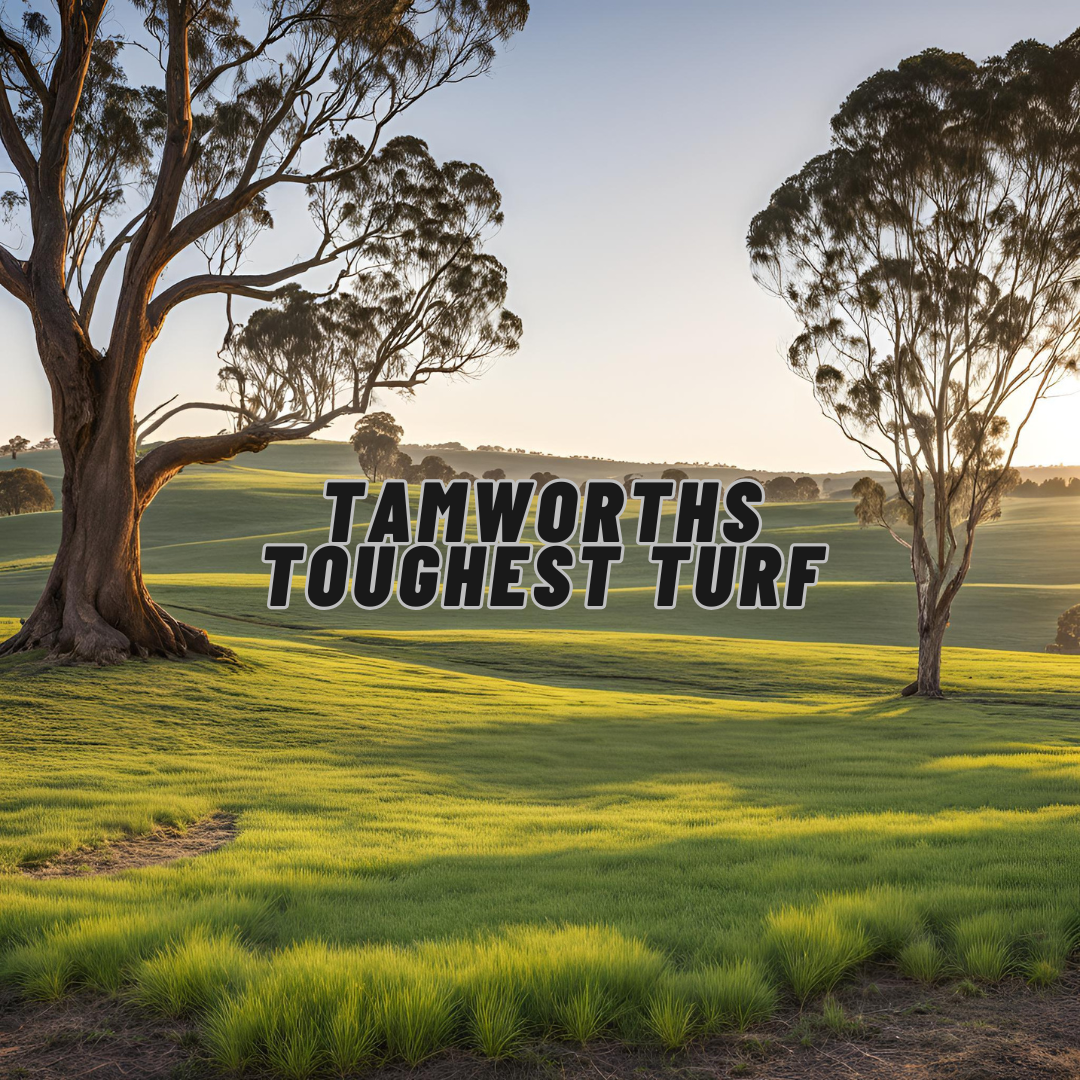 Tamworth's Toughest Turf