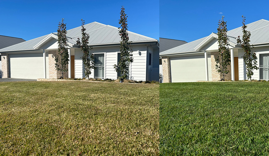 How to Keep Your Lawn Green Through Winter