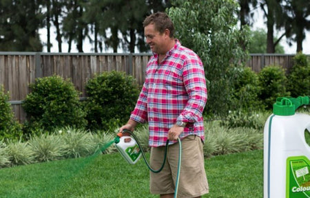 Transform Your Lawn with ColourGuard Plus: – New Lawn Turf