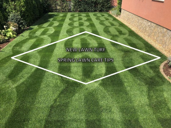 4 Lawn Care Tips For Your Spring Lawn Renovation