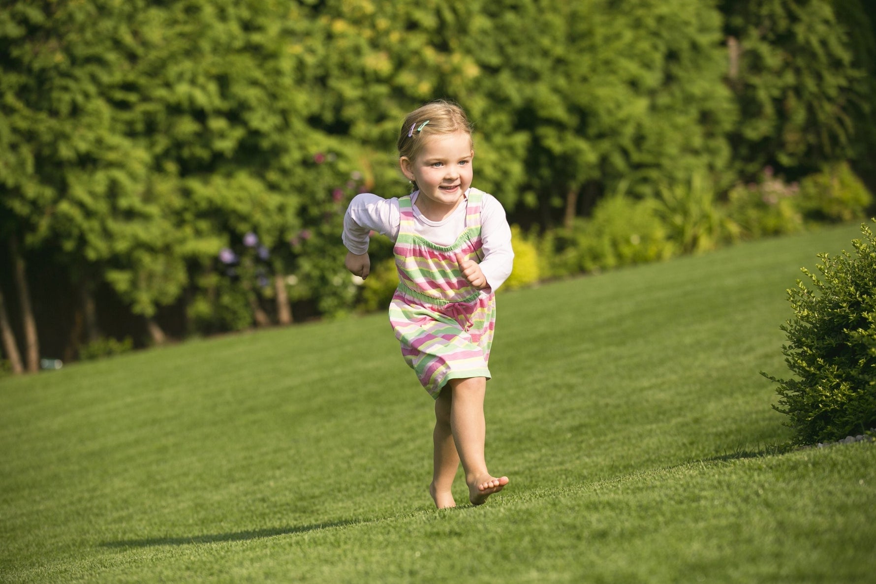 Why Turf Matters: The Community Benefits of a Healthy Lawn