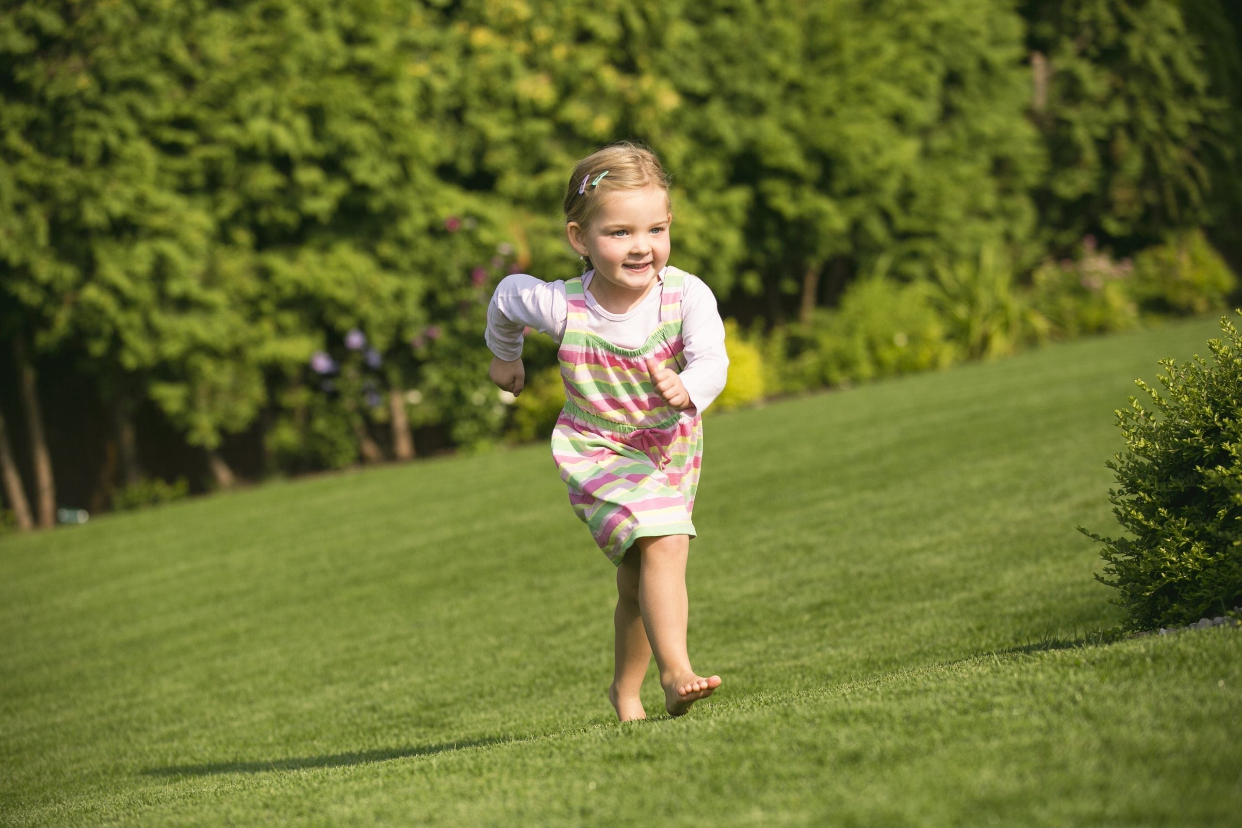 Why Turf Matters: The Community Benefits of a Healthy Lawn