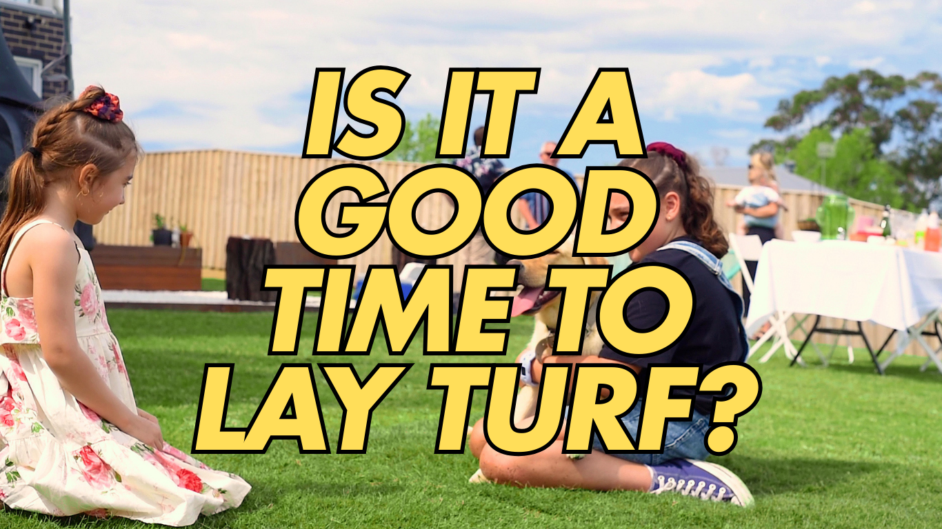 is it a good time to lay turf