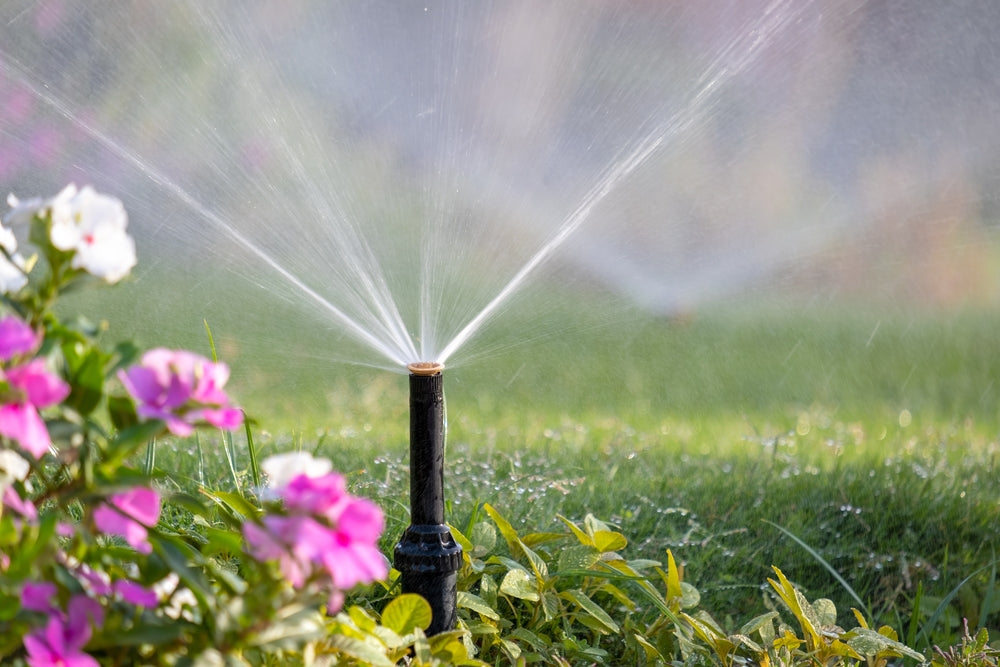 Watering