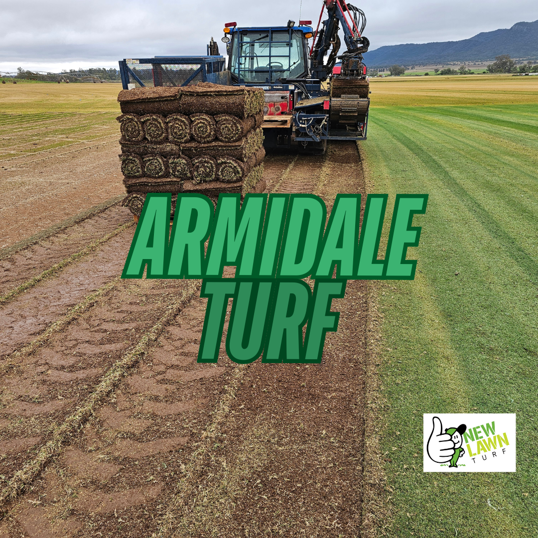 The Best Turf Varieties for Armidale: A Guide to Choosing the Right Grass for Your Lawn