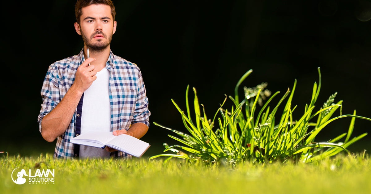 How to Keep Weeds Out of Your Lawn as Winter Ends | NewLawn Turf